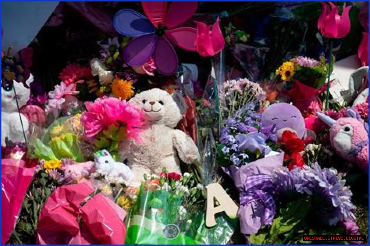 Aubreigh Wyatt: The Mystery Behind The Letters Found